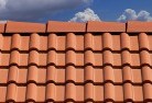 Glen Nevisroof-conversions-4.jpg; ?>